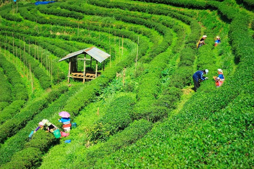 Sylhet Branch